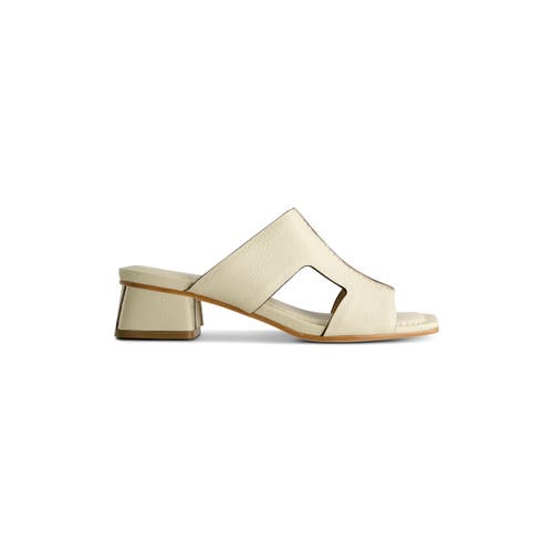 BERNARDO FOOTWEAR BERNARDO FOOTWEAR JEWEL LOW HEEL SANDAL