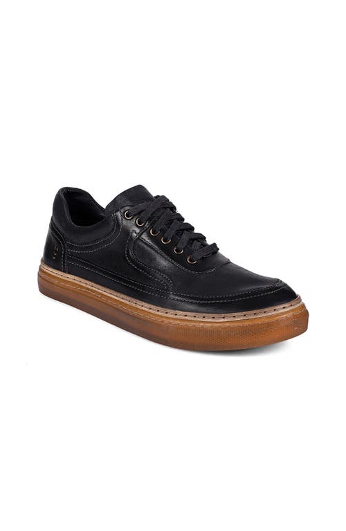 Roan Eminent Sneaker In Multi