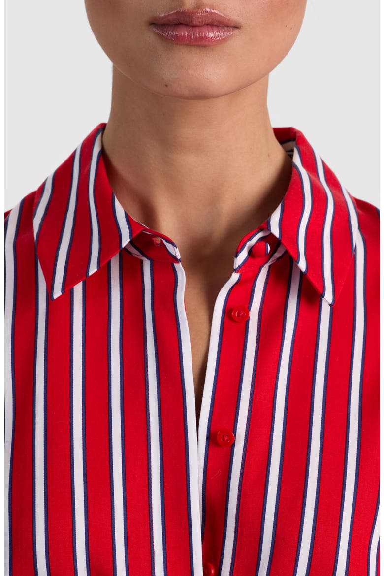 Dimitra Oversize Stripe Button-Up Shirt, Alternate, color, TEAKWOOD CHILI PEPPER