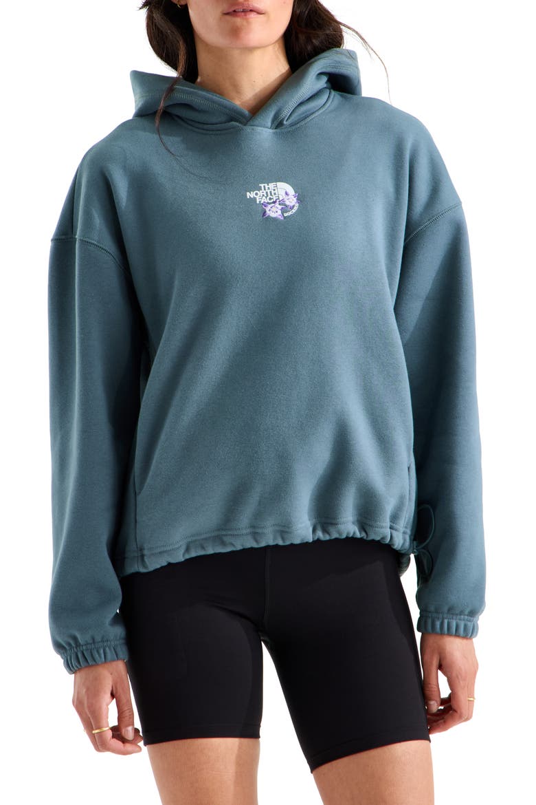 Places We Love - Rockies Pullover Hoodie, Main, color, GRANITE GREY