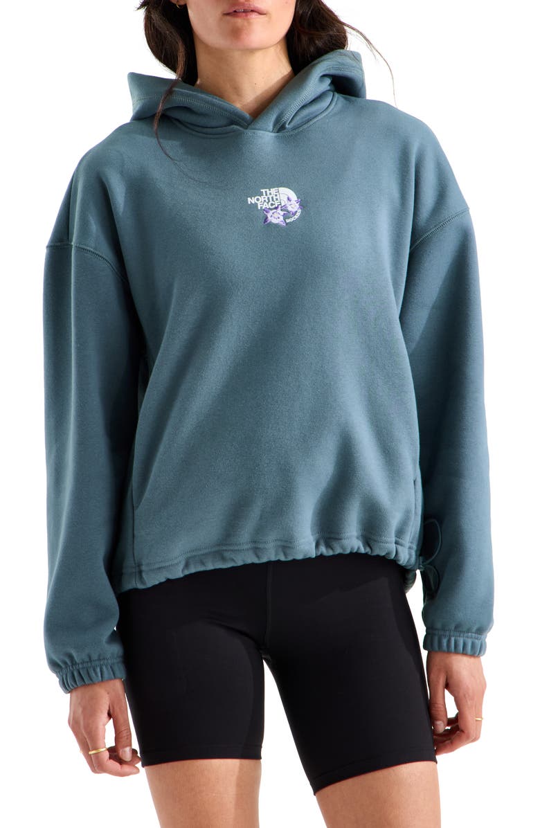 The North Face Places We Love - Rockies Pullover Hoodie, Main, color, Granite Grey