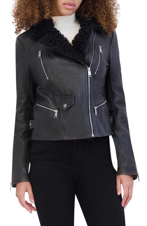 Andrew Marc Paley Leather Jacket with Faux Shearling Collar in Black 