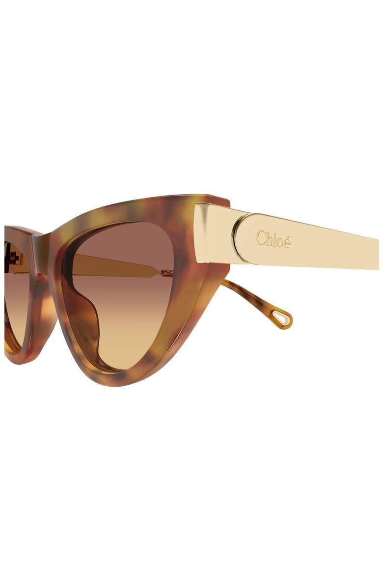 54mm Cat Eye Sunglasses, Alternate, color, SHINY HAVANA BROWN HONEY