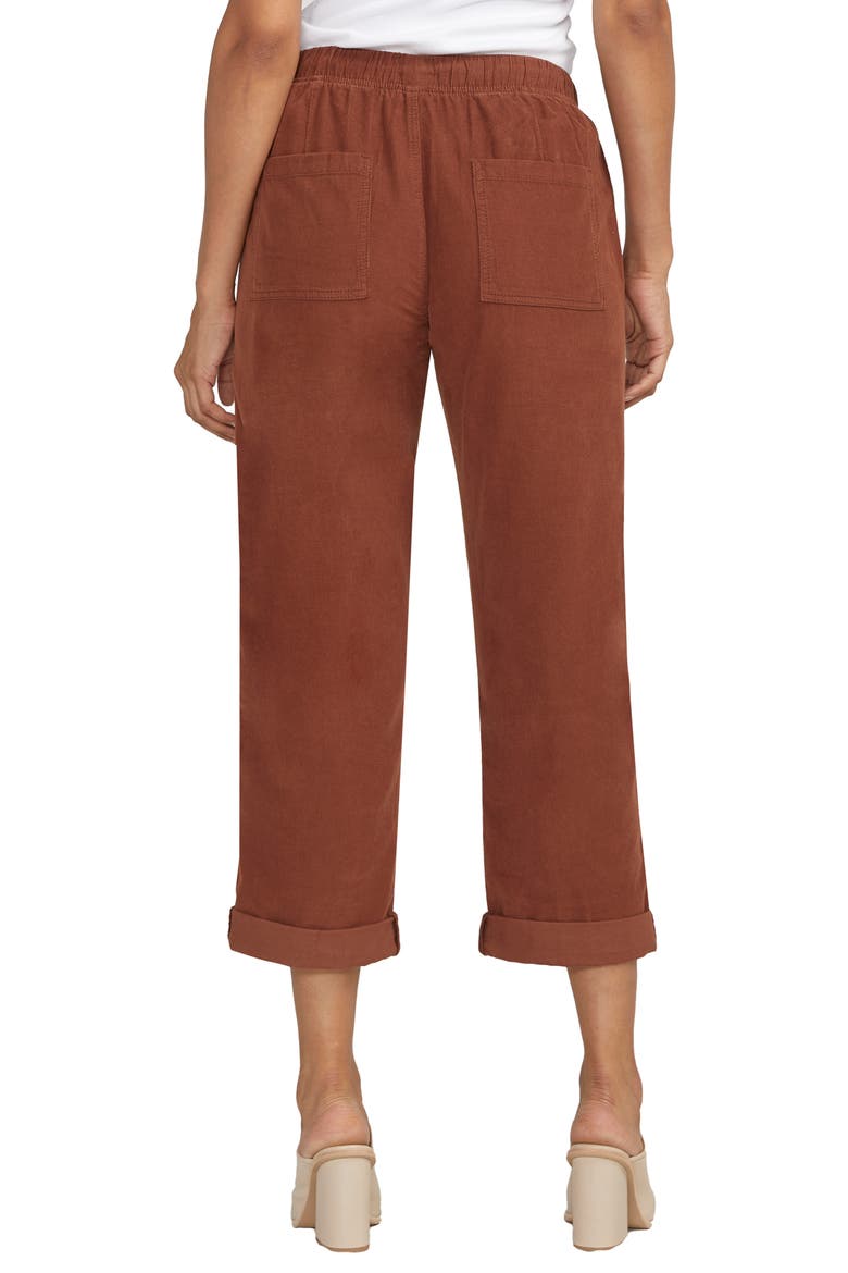 Relaxed Fit Cotton Corduroy Ankle Drawstring Pants, Alternate, color, CAPPUCINO