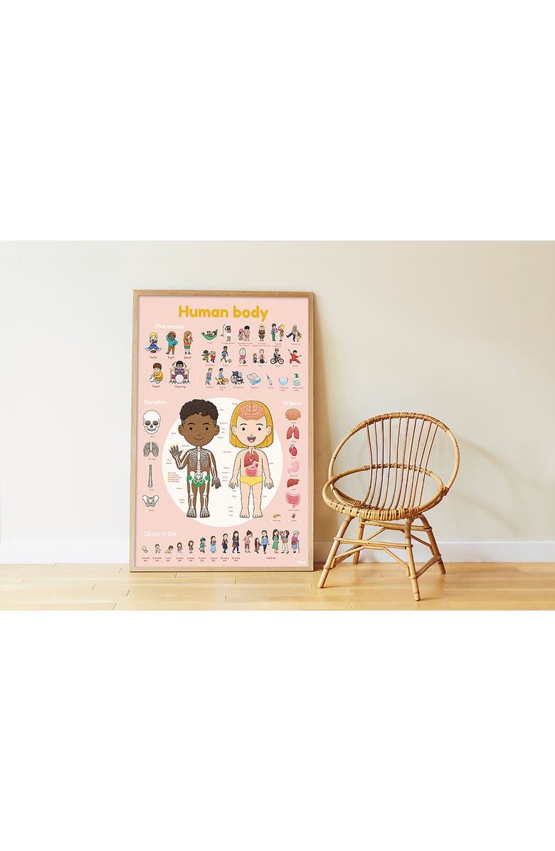 Scrunch Human Body Discovery Poster, Alternate, color, Multi