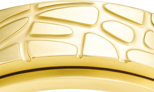 Sterling Forever Textured Spinner Ring In Gold