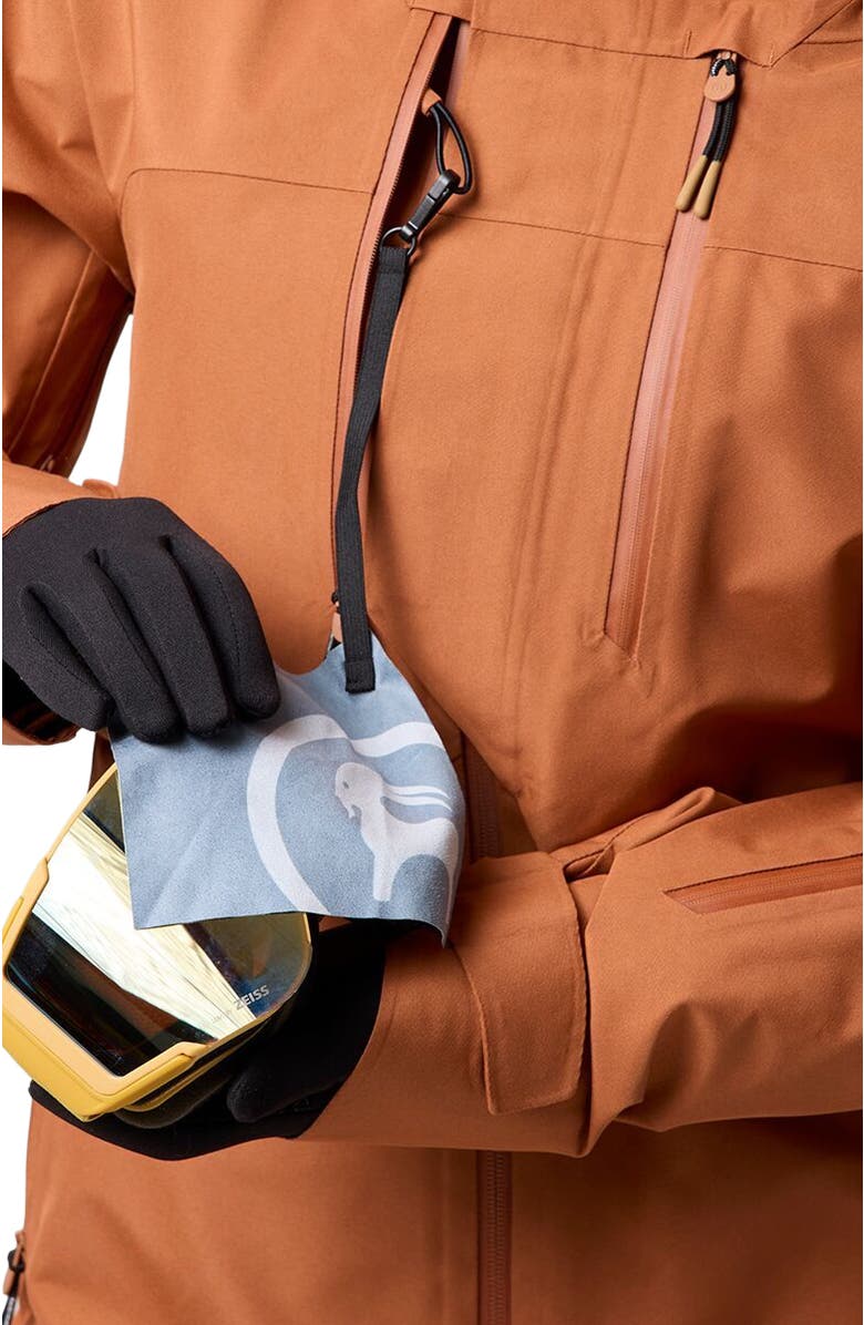 Backcountry Cottonwoods Gore-Tex Shell Jacket - Women's, Alternate, color, Sierra