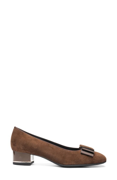 Ara Garnet Suede Pump In Brown