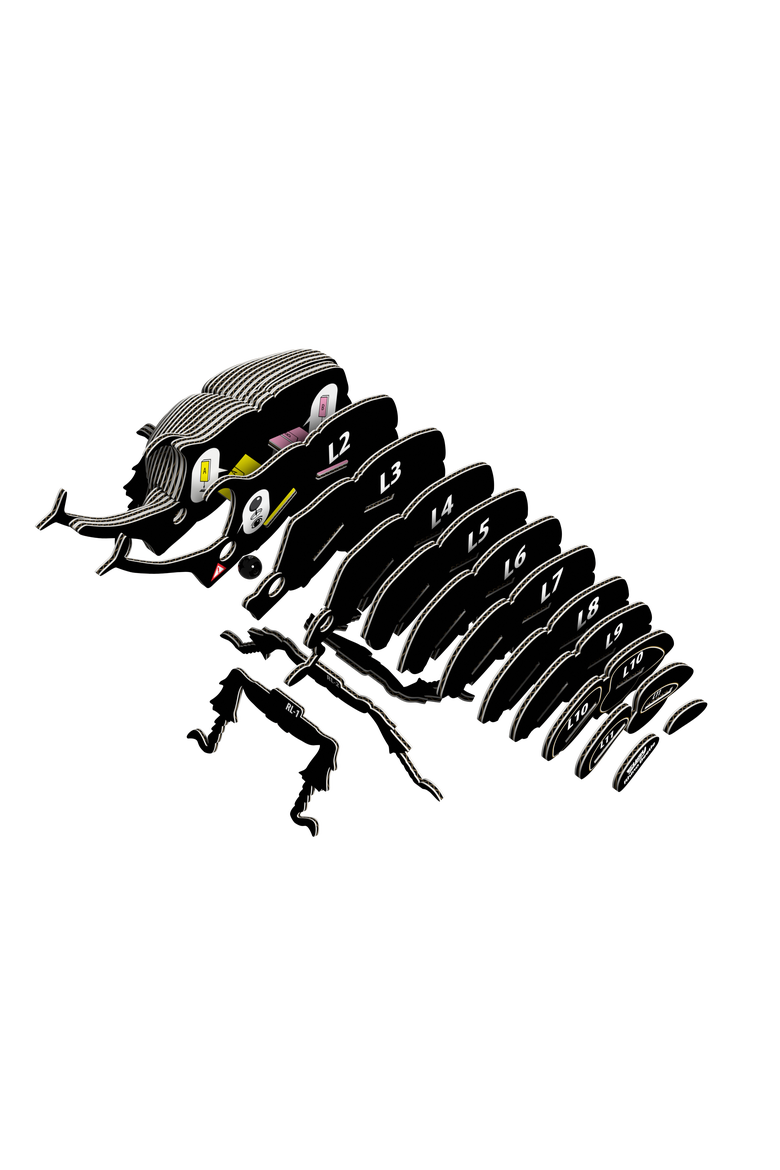 Rhino Beetle 3D Puzzle, Alternate, color, No Color