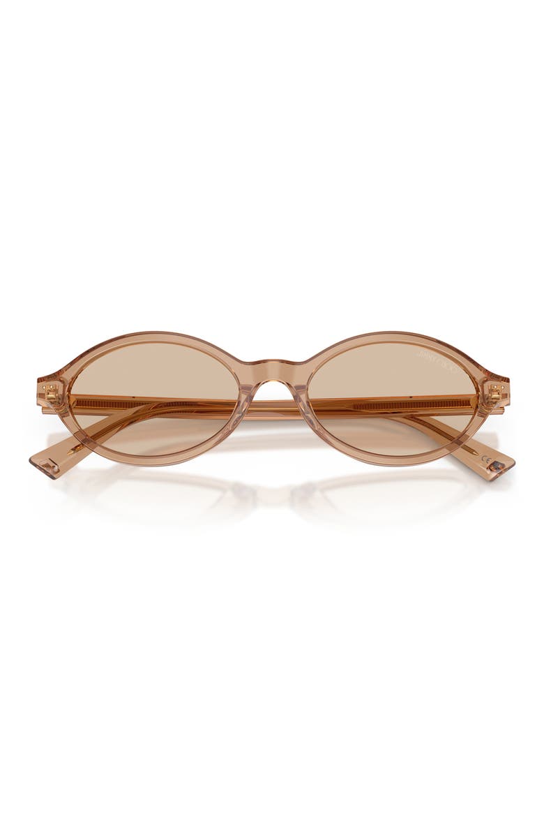 51mm Oval Sunglasses, Alternate, color, TRANSPARENT TAN / LIGHT BROWN