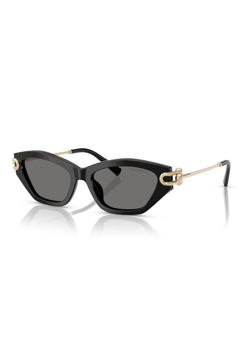 53mm Polarized Cat Eye Sunglasses, Alternate, color, BLACK / DARK GREY POLAR