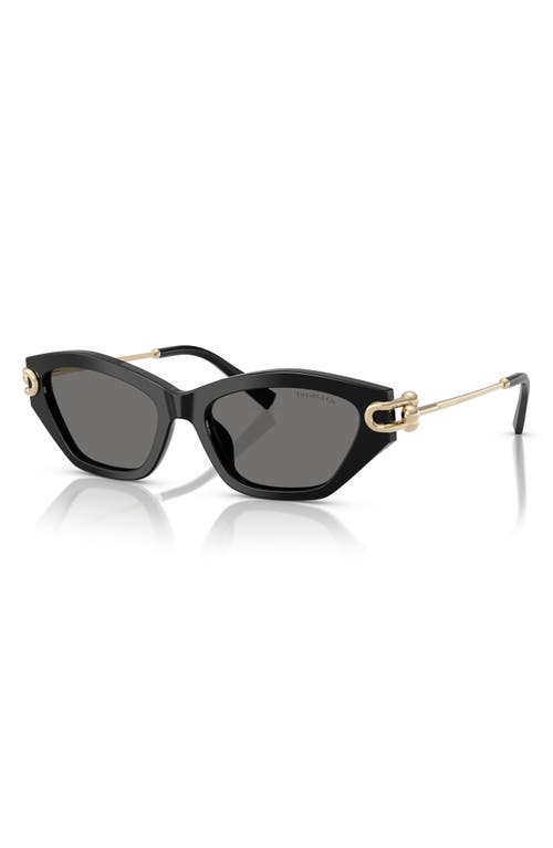 TIFFANY & CO TIFFANY & CO. 53MM POLARIZED CAT EYE SUNGLASSES