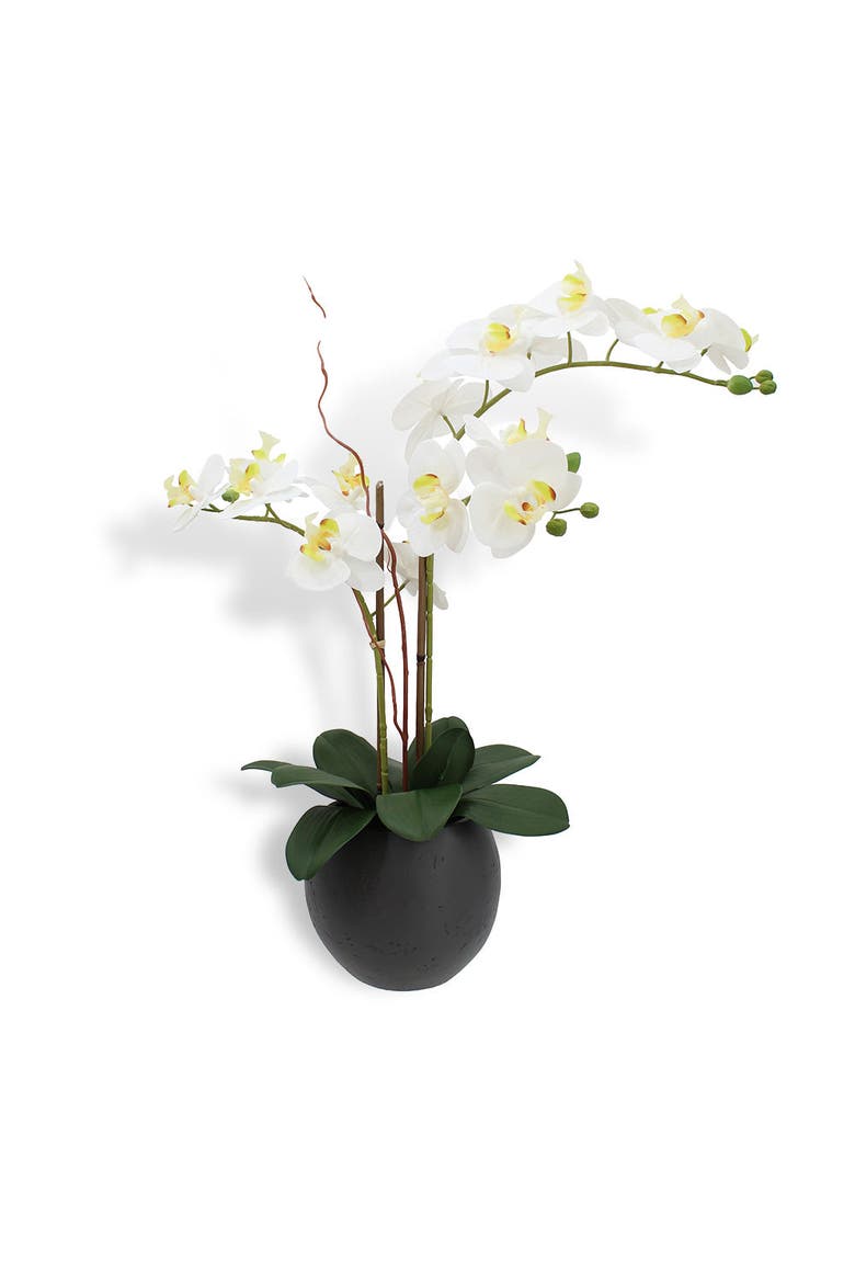 Artificial White Double Stem Orchid, Main, color, White and Grey