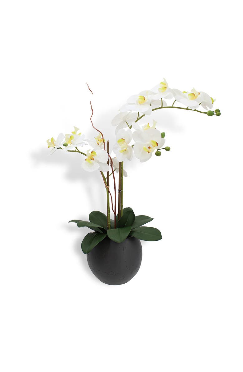 CG Hunter Artificial White Double Stem Orchid, Main, color, White And Grey