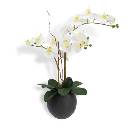 Cg Hunter Artificial White Double Stem Orchid In Multi