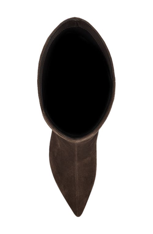 Nine West Lorthey Pointed Toe Knee High Boot In Brown