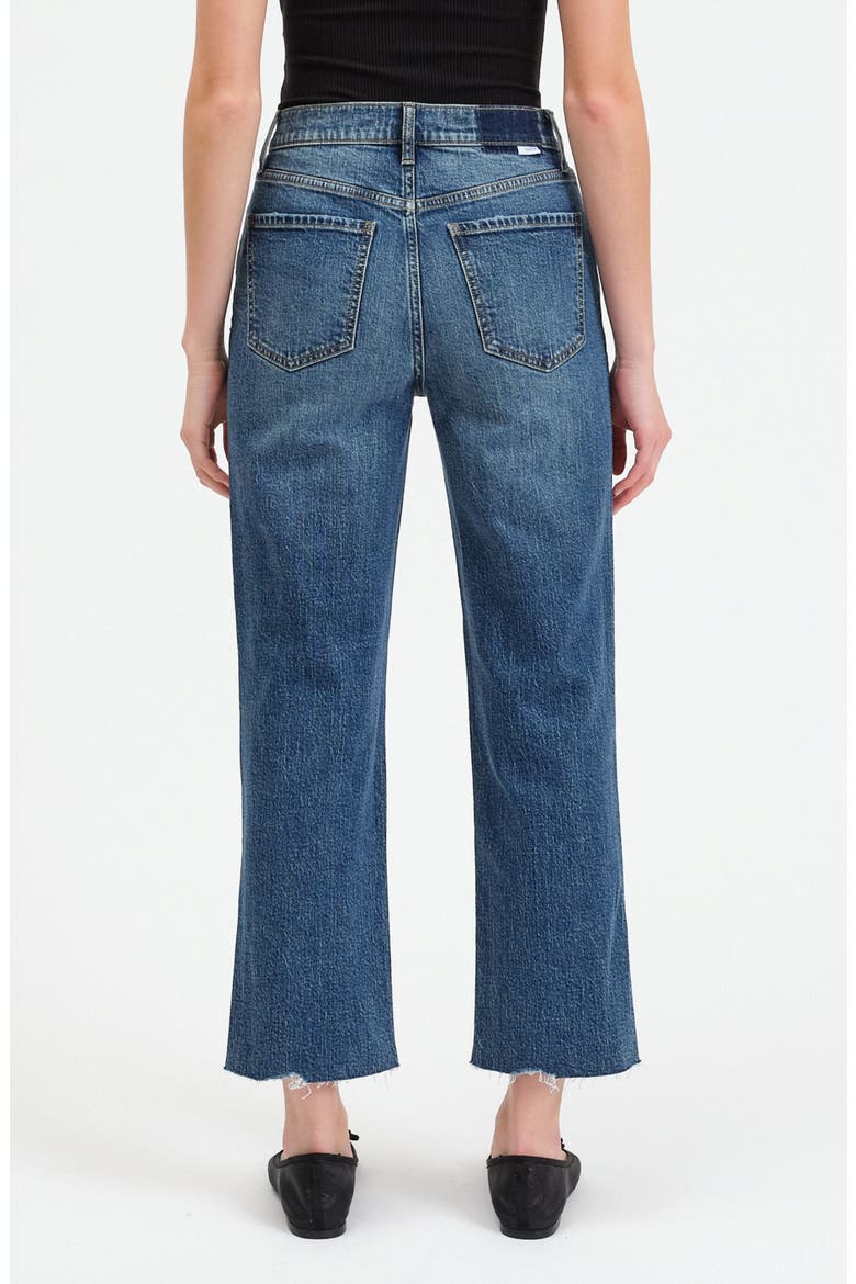 Sundaze Raw Hem High Waist Crop Straight Leg Jeans, Alternate, color, SOCIALITE VINTAGE