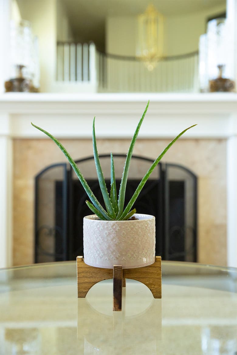 5" Geo Ceramic Planter on Wood Stand, Alternate, color, PINK