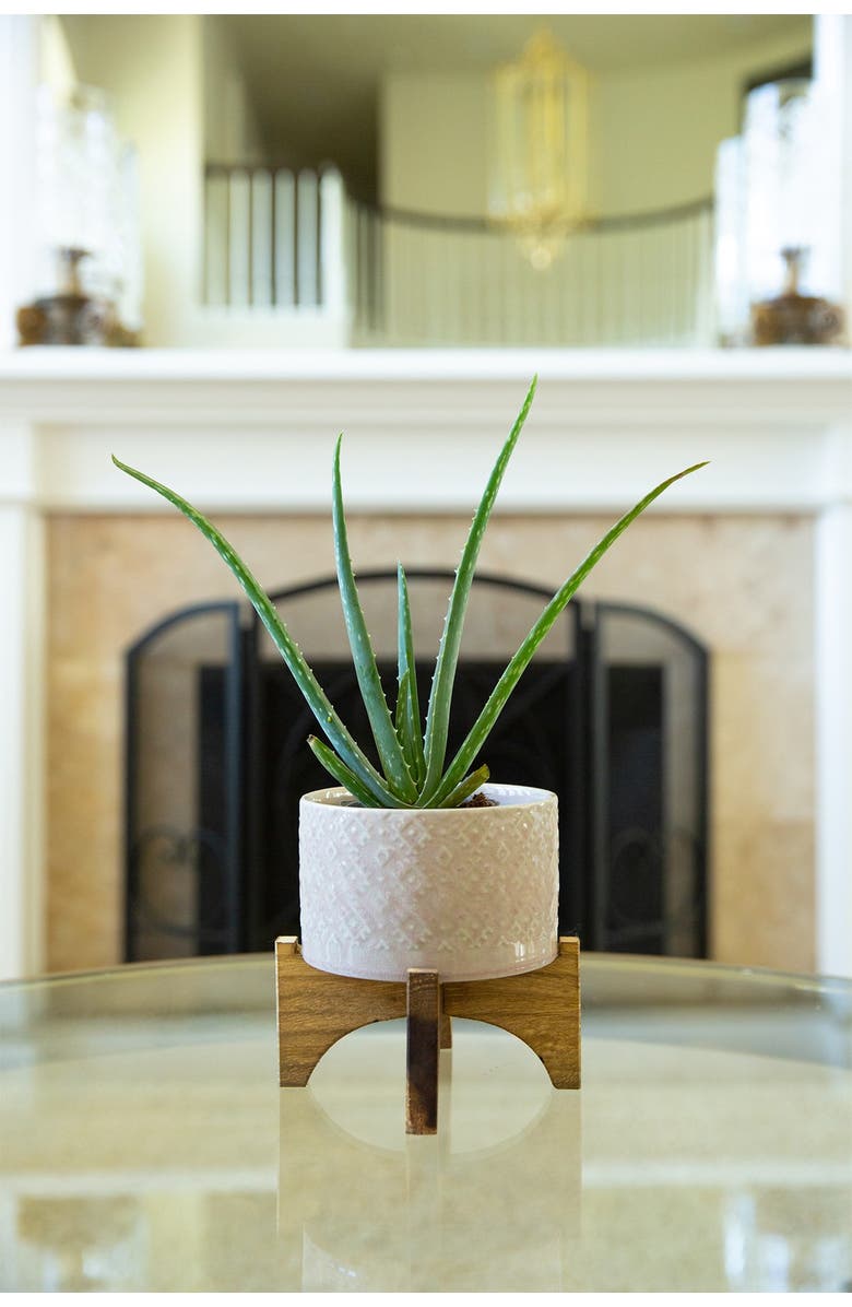 FLORA BUNDA 5" Geo Ceramic Planter on Wood Stand, Alternate, color, Pink