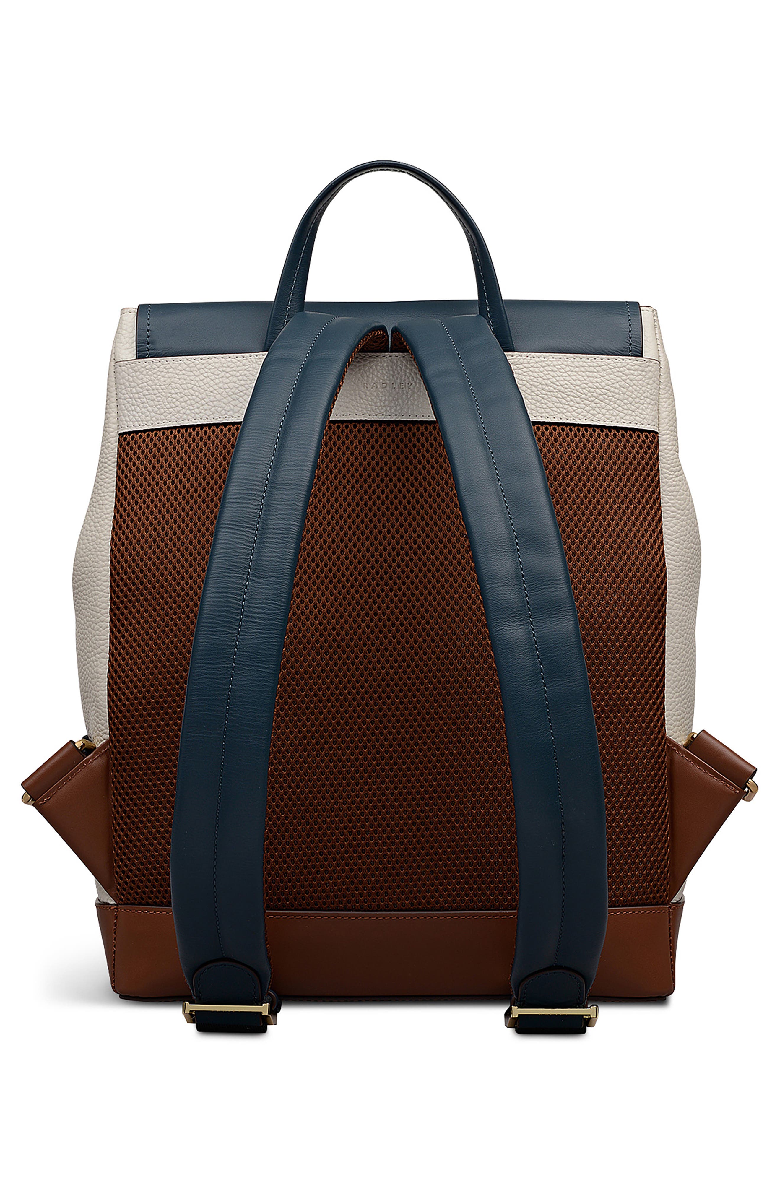 Radley Albion Street Colorblock Backpack, Alternate, color, 