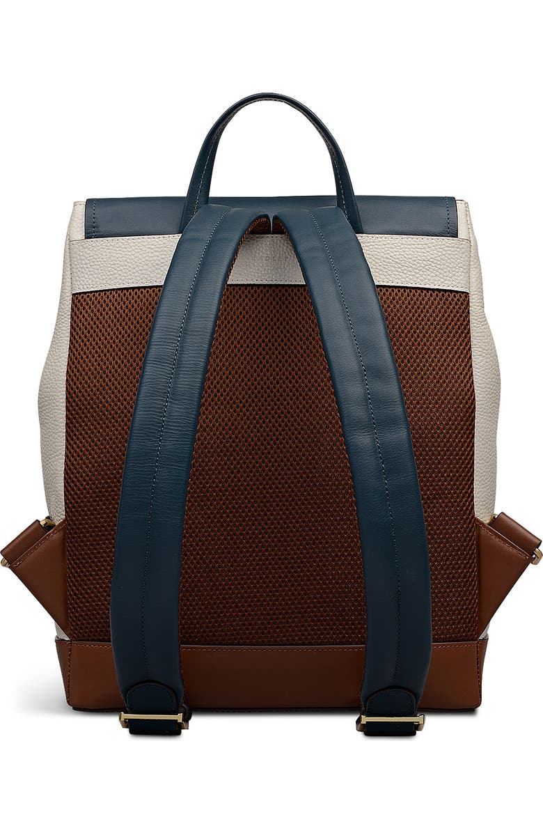 Radley Albion Street Colorblock Backpack, Alternate, color, Snow