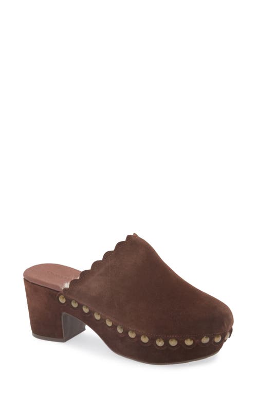 Chocolat Blu Gareth Platform Mule in Chocolate Suede-Shearling 