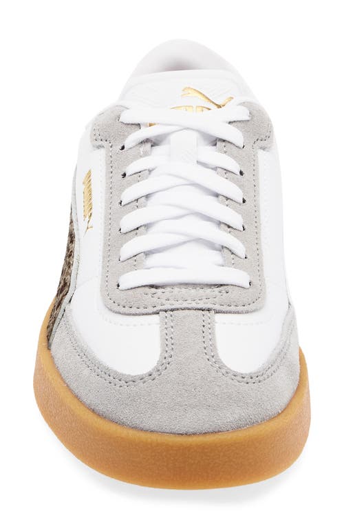Puma Club Ii Era Sneaker In Multi