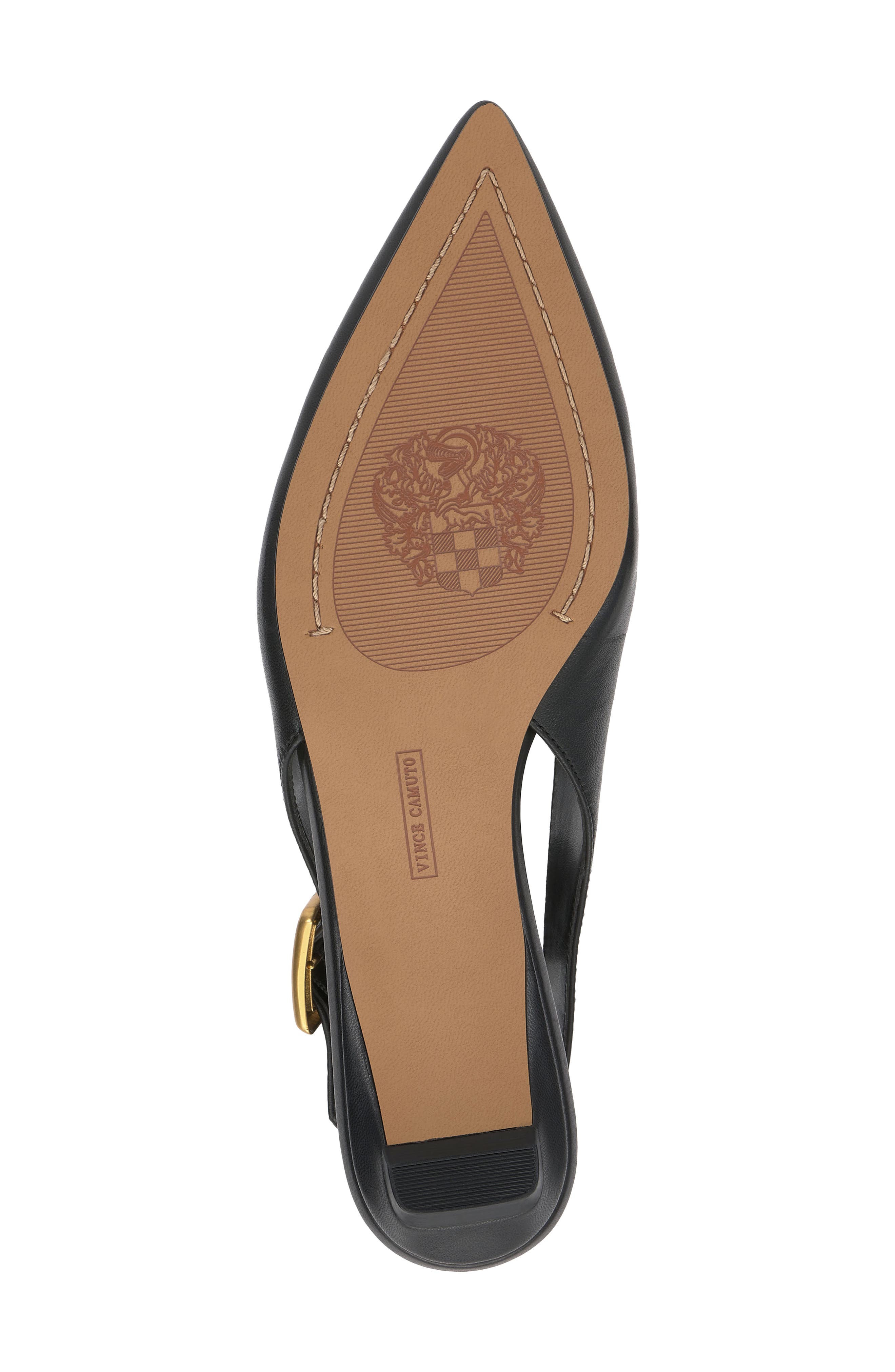 Vince Camuto Valther Pointed Toe Flat, Alternate, color, Black