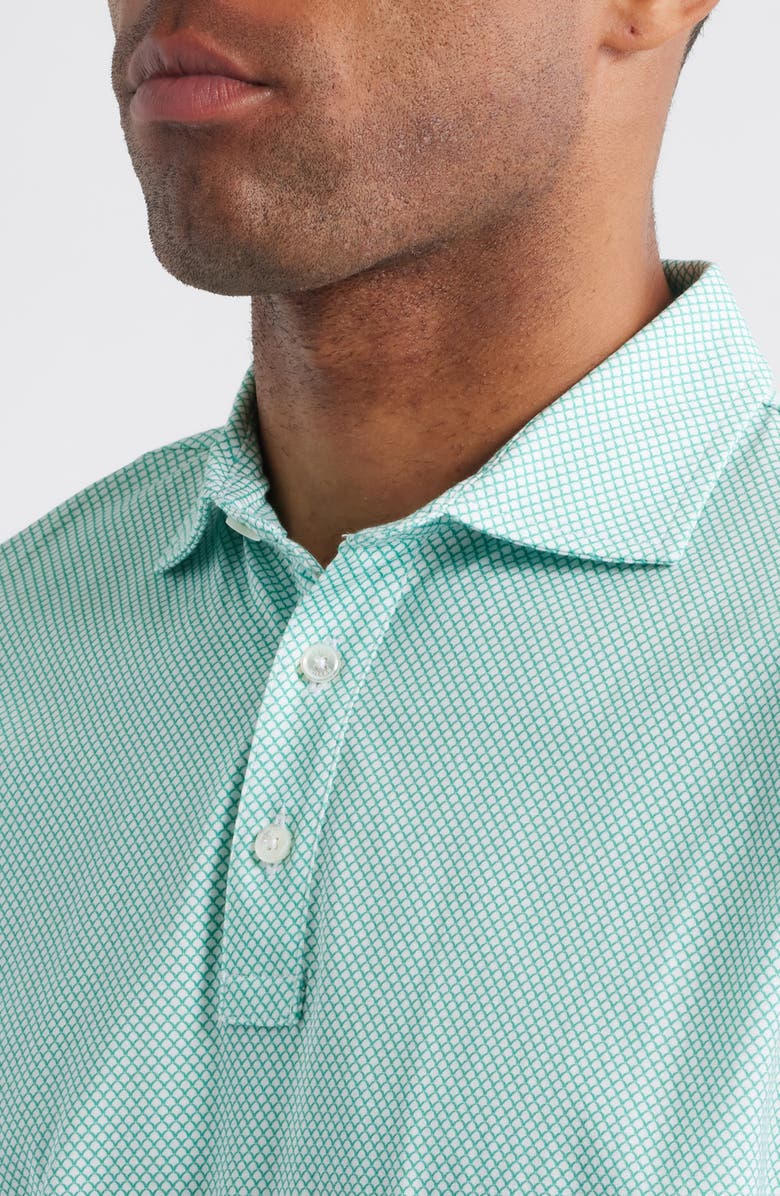 Peter Millar Crown Comfort Arch Print Pima Cotton Polo, Alternate, color, Meadow