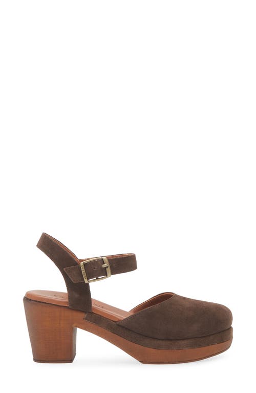 Cordani Warner Ankle Strap Platform Clog In Brown