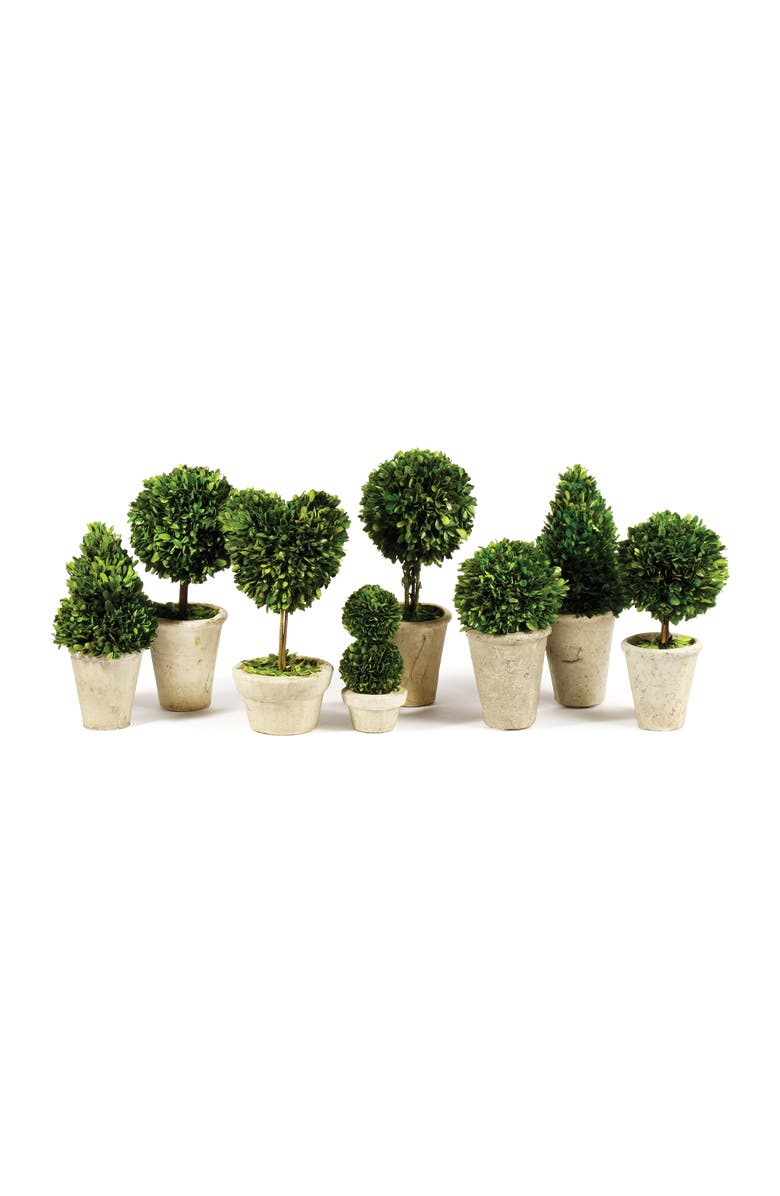Napa Home & Garden Boxwood Topiaries Faux (Fake) Set of 8, Main, color, Brown