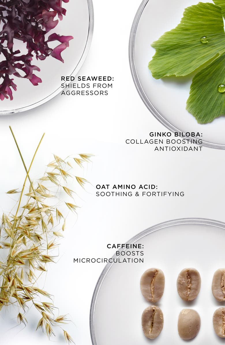 Noble Panacea The Brilliant Vibrant Eye Infusion, Alternate, color, Refill