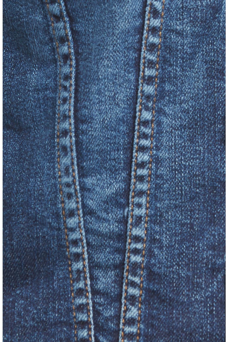 Classic Denim Jacket, Alternate, color, EDEN PORT