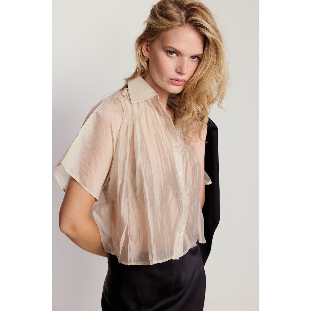 The Shirt By Rochelle Behrens The Hayden Shirt In White