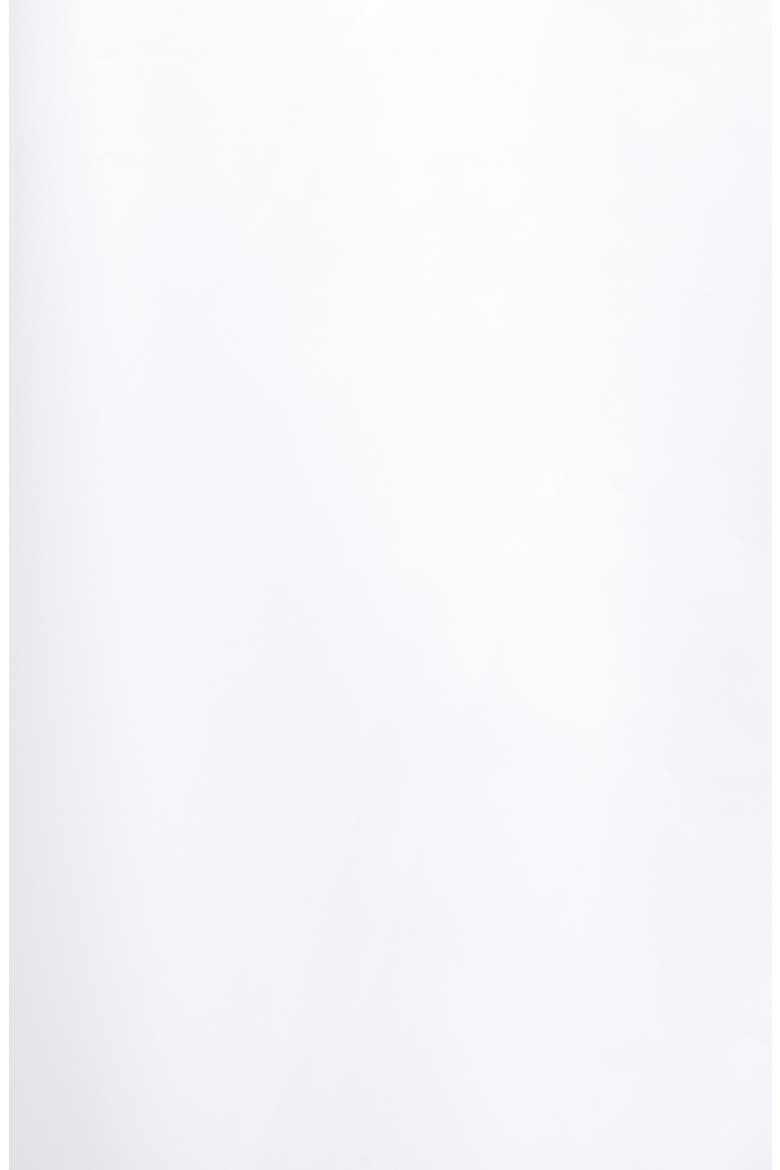 Levi's® Translucent Rain Jacket, Alternate, color, CLEAR
