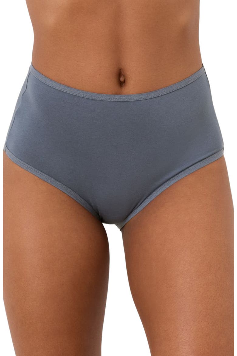 Everyday High Rise Brief 5-Pack Made With Organic Cotton, Alternate, color, Dawn Sky
