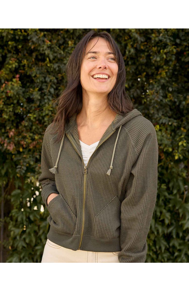 Toad & Co Bitterroot Long Sleeve Hoodie, Alternate, color, Olive