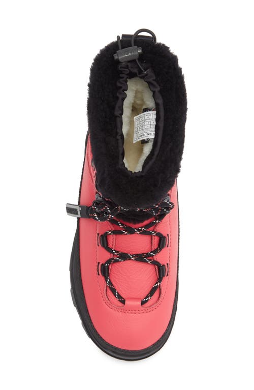 Ugg ® Shasta Gore-tex® Waterproof Boot In Pink