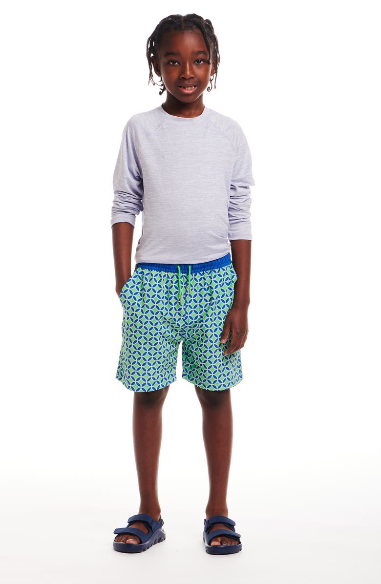 Andy & Evan Kids' Print Swim Trunks, Alternate, color, 