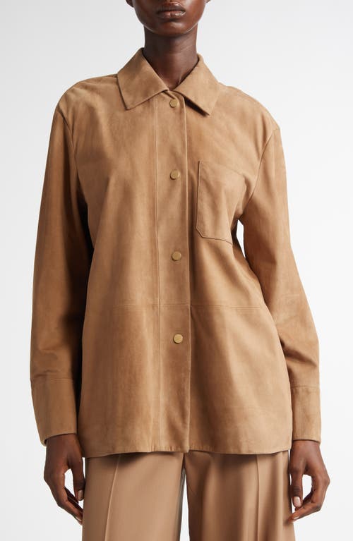 Max Mara Fresia Suede Shirt Jacket In Camel