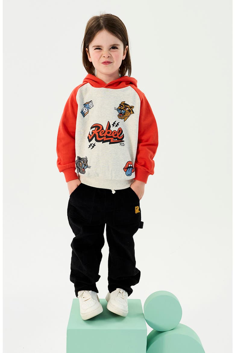 Kids' Graphic Raglan Hoodie, Alternate, color, GREY MARLE