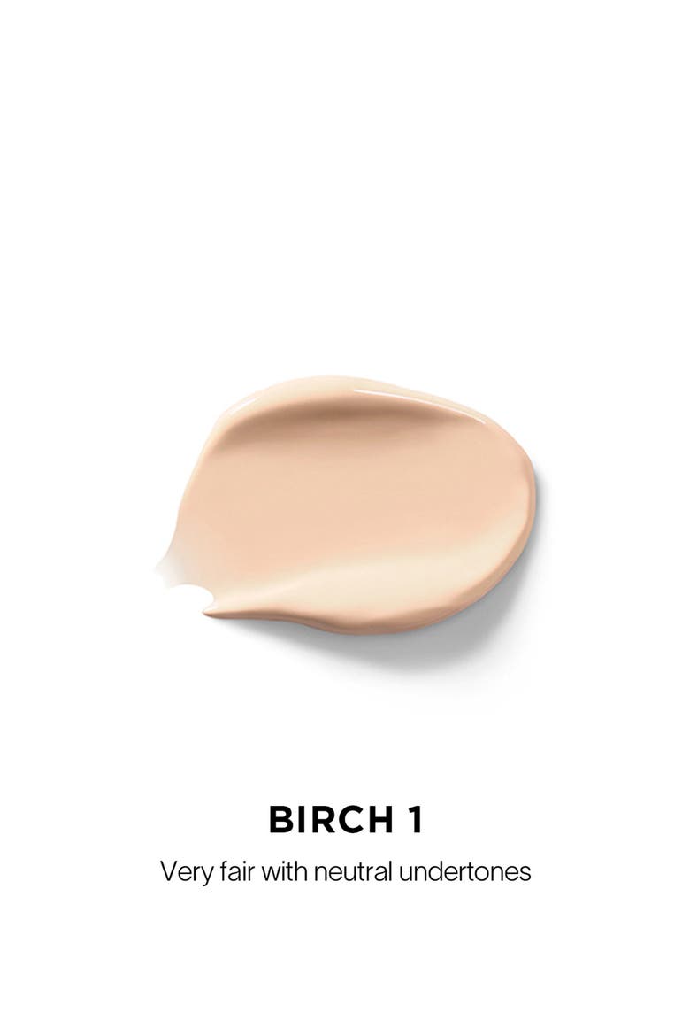 Vanish Airbrush Concealer, Alternate, color, BIRCH 1