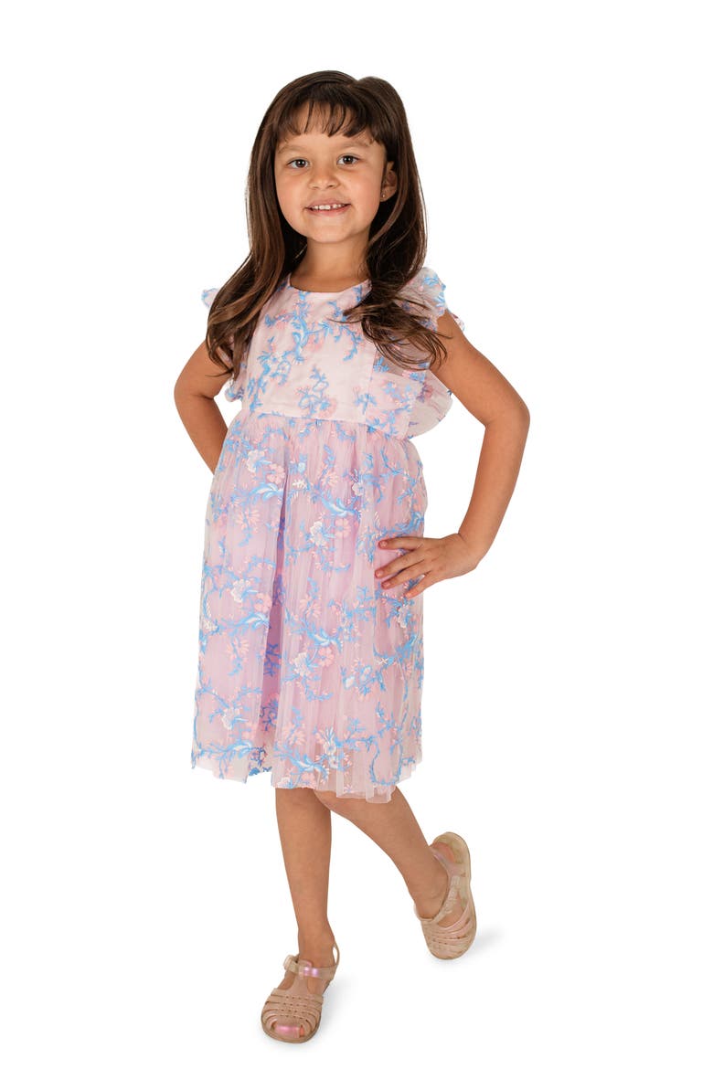 Kids' Floral Embroidered Party Dress, Alternate, color, BLUE/ PINK
