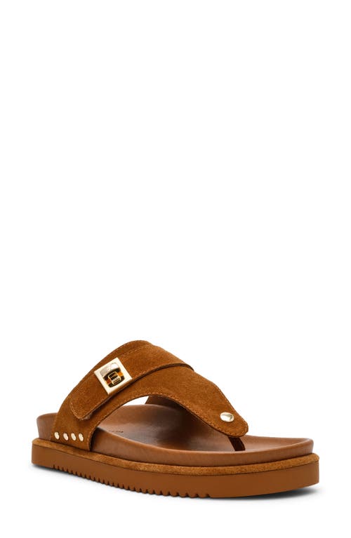 Steve Madden Thona Platform Sandal In Chestnut Suede