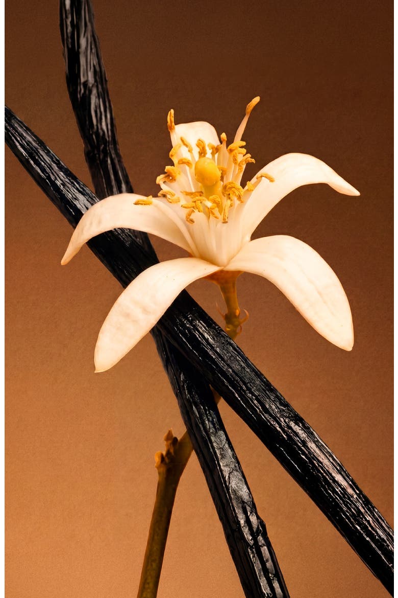 Althaïr Eau de Parfum, Alternate, color, NO COLOR