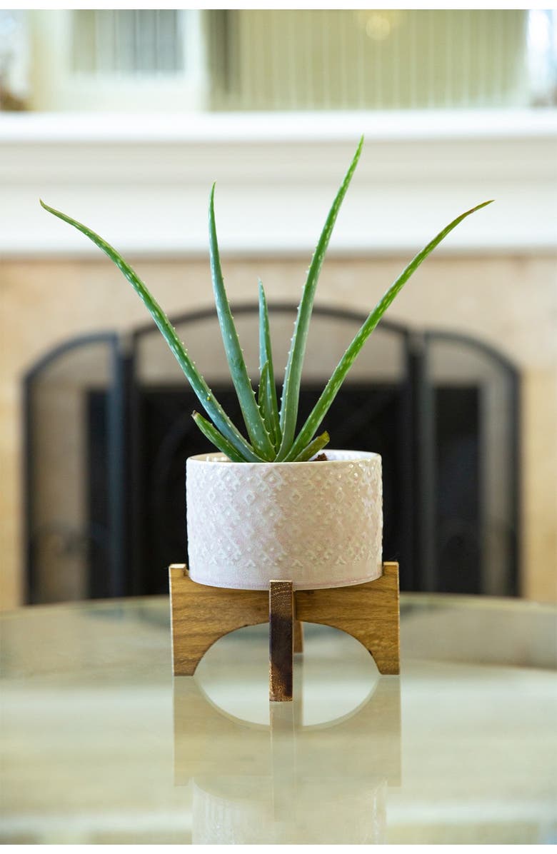 FLORA BUNDA 5" Geo Ceramic Planter on Wood Stand, Alternate, color, Pink