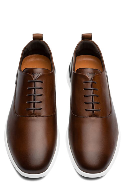 Wolf & Shepherd Crossover™ Longwing Blucher