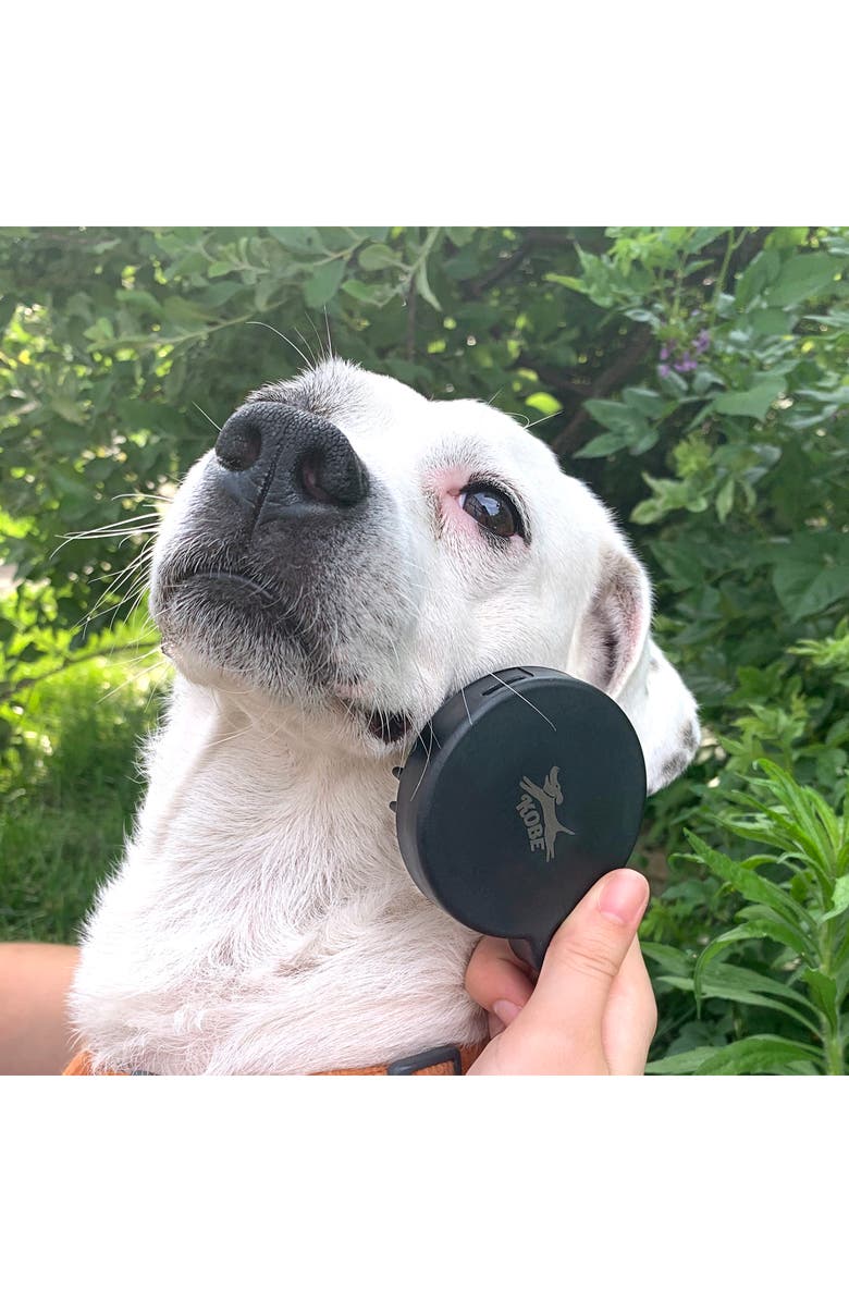 Kikkerland Design Dog Spa Kit, Alternate, color, 