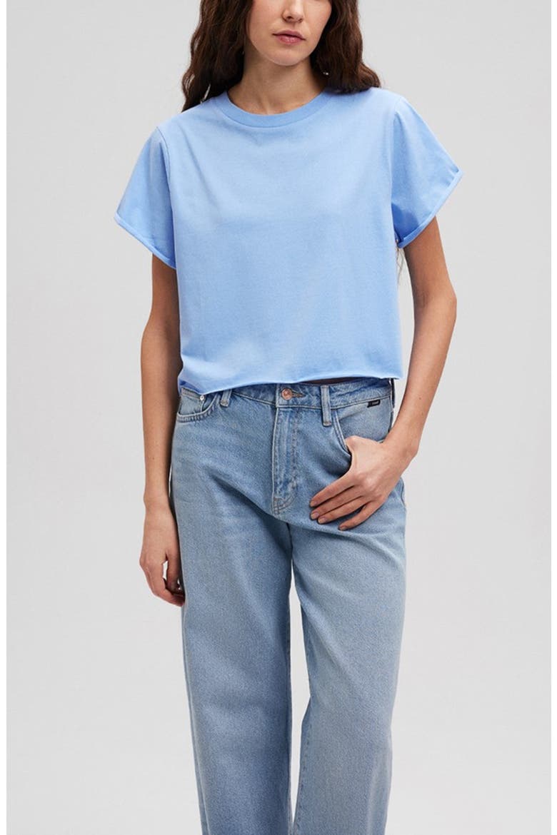 Oversize Raw Hem Crop T-Shirt, Alternate, color, VISTA BLUE