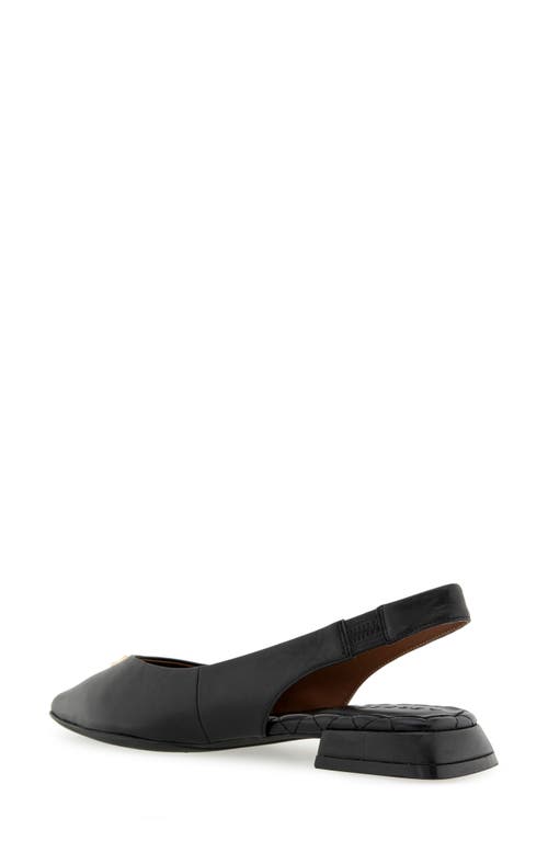 AEROSOLES AEROSOLES NAYANA POINTED TOE SLINGBACK FLAT